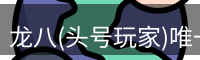 龙八头号玩家官网